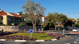 שוהם